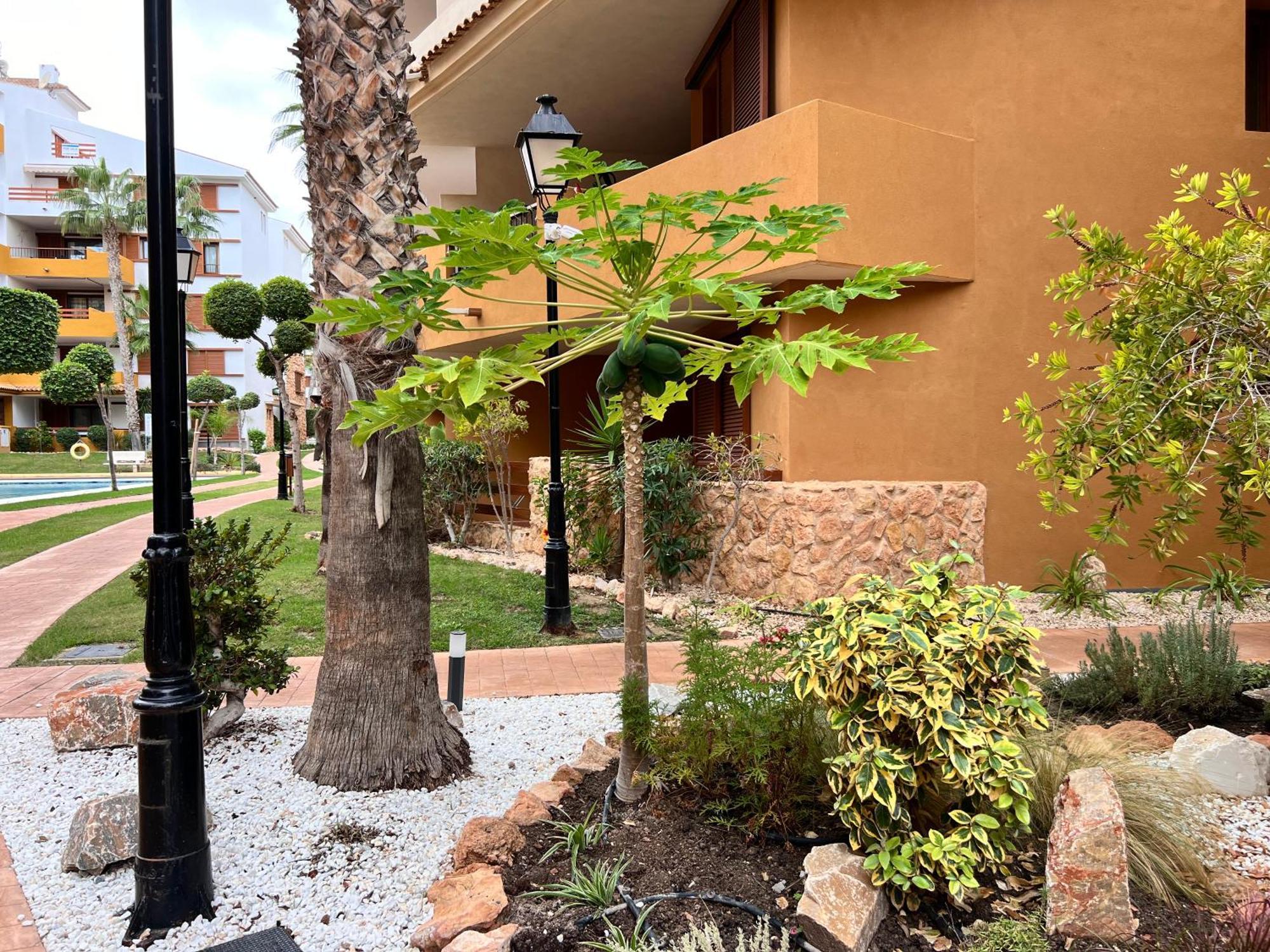 Punta Prima - Sun & Beach & Golf & Bike - Spanish South-Facing Terrace Apartment - La Recoleta - By The Sea Torrevieja Eksteriør bilde